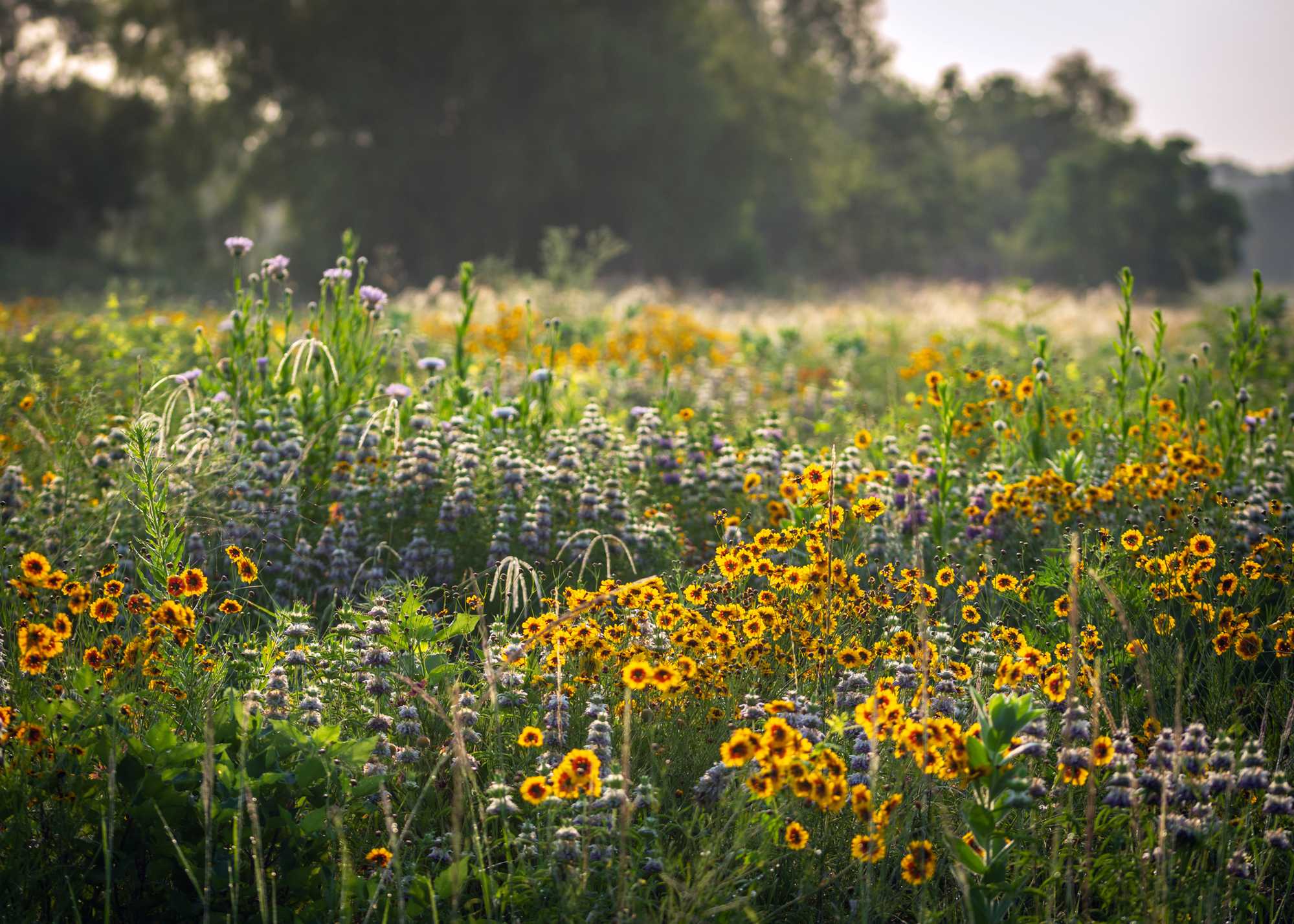 SUMMER_AdobeStock_353150196